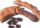 Tamarind