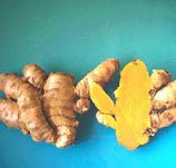 turmeric