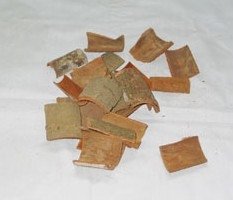 Square Cut Cassia