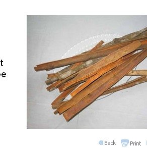 Splitted Cassia