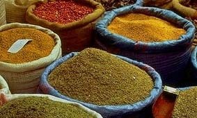 PAPRIKA SPICES