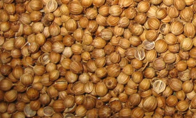 coriander seeds