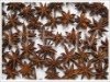 Broken Star Aniseeds