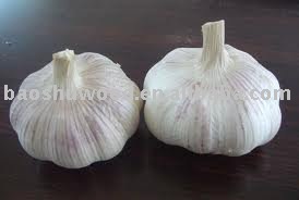 2010 Chinese Red Garlics