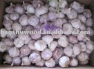 Sell Chinese Red Garlic