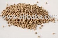 White Pepper