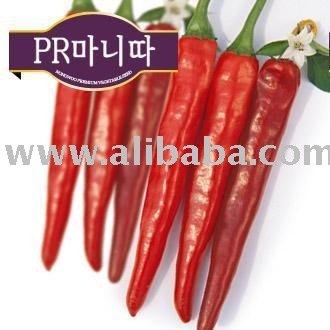 chili