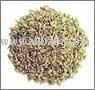 Fennel Seeds (Saunf)