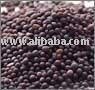 Mustard Seeds (Sarsoon)