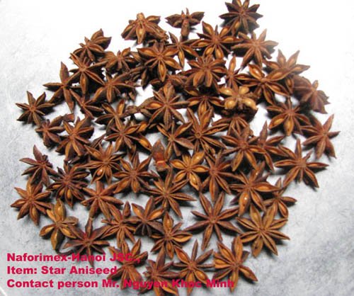 Star  Aniseed  Without  Stem 