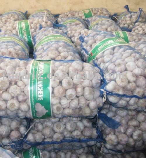Fresh red garlic