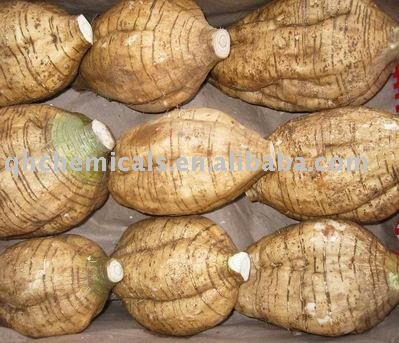  Pueraria   Flavone s powder