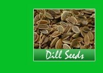 dill seeds spices
