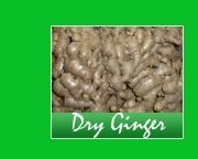 dry ginger spices