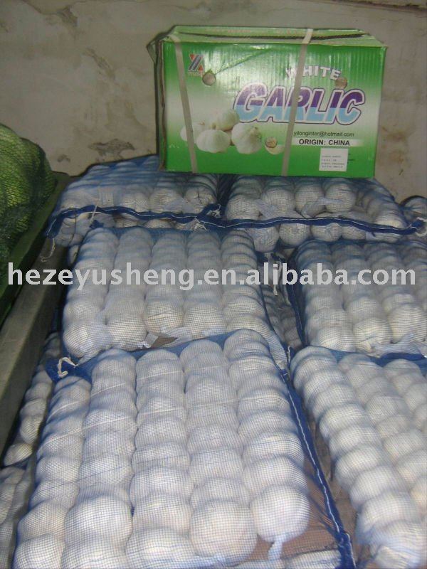 500g small packing,5kg mesh bag