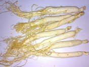 Herbs& Spice-Giseng