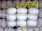  3pc  white  garlic 