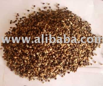Cardamom Seeds