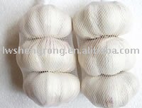 2010  fresh white garlic,jinxiang garlic,garlic