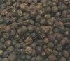 BLACK PEPPER 550GL 500 GL