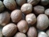 Nutmeg Without Shell