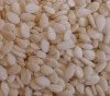 Whitsh Natural Sesame