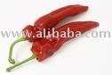 Red sweet  Pepper-Paprika  for Spices