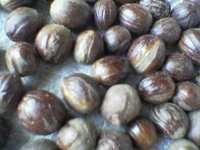 Nutmeg with shell