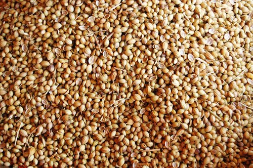 Grossary - Spice - Coriander Seeds