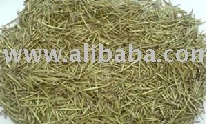 Rosemary origin Morocco