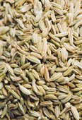 Fennel Seeds