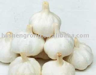 2010  fresh white garlic,shandong garlic
