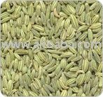 Fennel, Fennel Seed, Fennel Powder