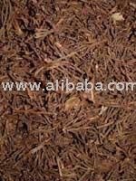 Cloves