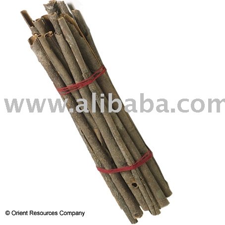 Cassia Tubes
