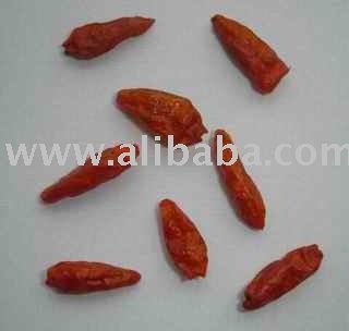 Bird's Eye Chillis