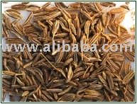  Cumin  Seed  India 