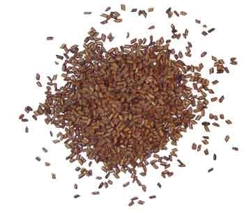 Cassia Seed