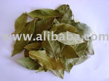  Bay   leaves  ( Laurel   leaves )