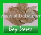 bay  leaves   spice 