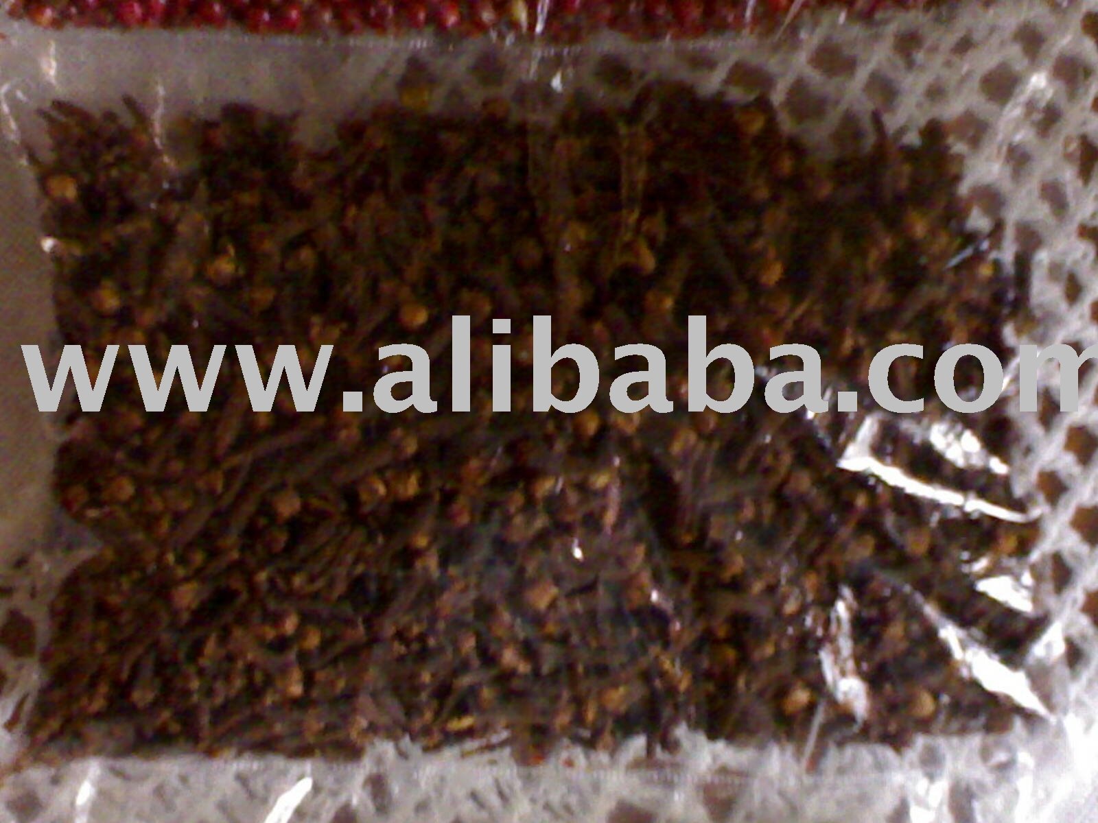 Cloves