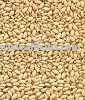  SESAME   SEEDS   HULLED  WHITE