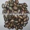 MELON SEEDS