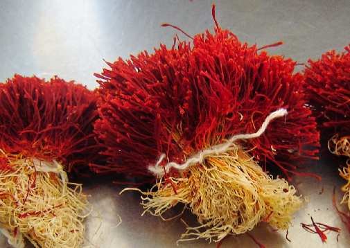 SAFFRON