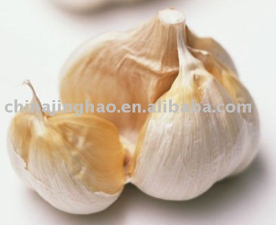 Super Quality with Good Price - Chinese Fresh White/Red Garlic (All Size)