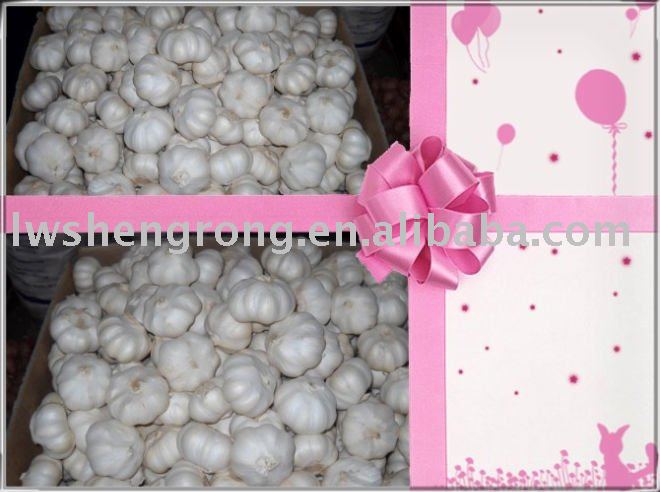 Fresh Garlic of Pure White 6.0,laiwu garlic