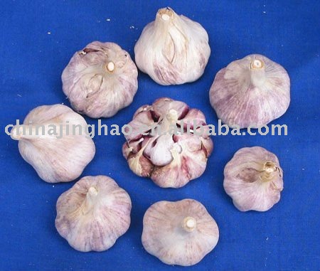Super Quality with Good Price Products - Chinese Fresh White/Red Garlic (All Size)