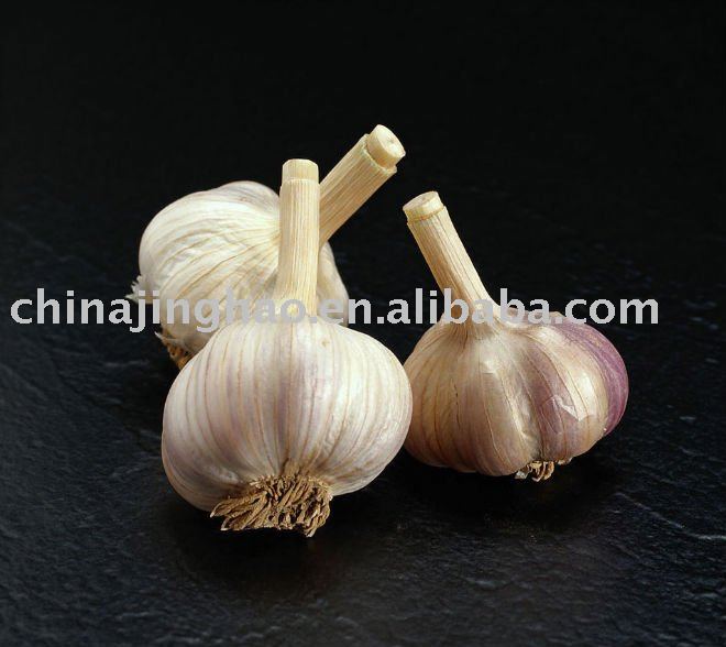 2010 Crop Chinese Fresh White/Red Garlic (All Sizes)