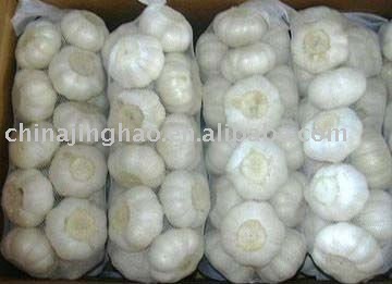  Fresh   Super   Garlic  of China