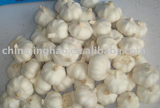2010 Chinese Fresh White/Red  Garlic  ( All   Size )